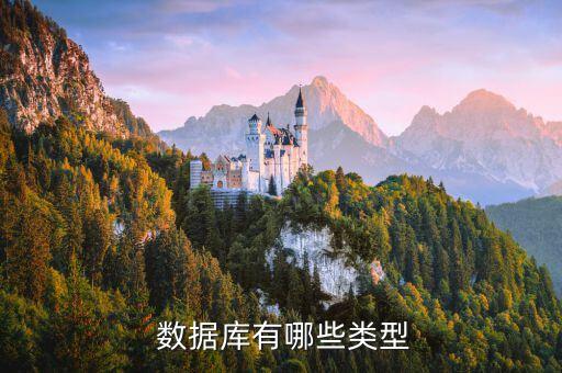  數(shù)據(jù)庫(kù)有哪些類型