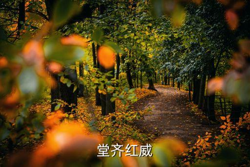 數(shù)據(jù)堂齊紅威