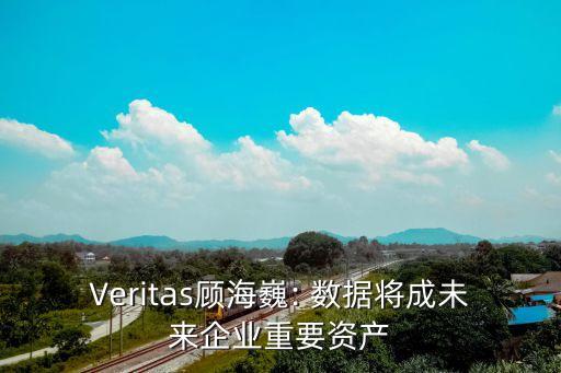 netbackup 過期數據