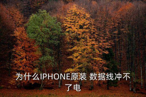 為什么IPHONE原裝 數(shù)據(jù)線沖不了電