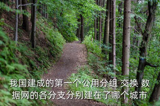 我國(guó)建成的第一個(gè)公用分組 交換 數(shù)據(jù)網(wǎng)的各分支分別建在了哪個(gè)城市