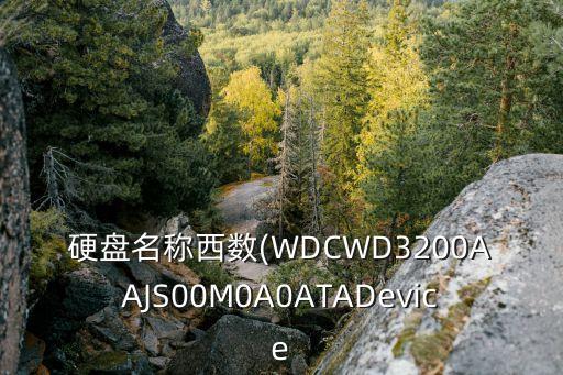 西部數(shù)據(jù)紅盤 假貨