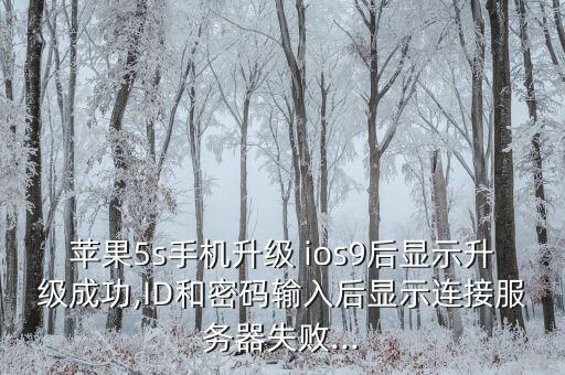 iPhone5更新ios 9后不能用數(shù)據(jù)網(wǎng)
