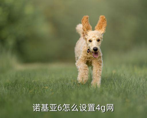 nokia6移動數(shù)據(jù)上不了