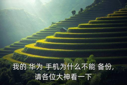 我的 華為 手機(jī)為什么不能 備份,請(qǐng)各位大神看一下