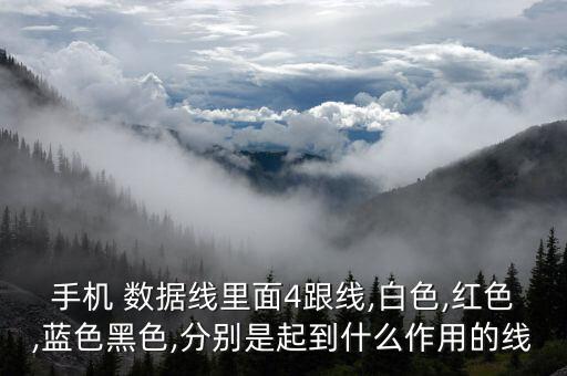 手機 數(shù)據(jù)線里面4跟線,白色,紅色,藍色黑色,分別是起到什么作用的線