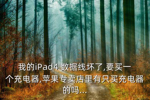 我的iPad4 數(shù)據(jù)線壞了,要買一個(gè)充電器,蘋果專賣店里有只買充電器的嗎...