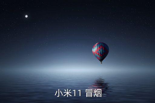  小米11 冒煙
