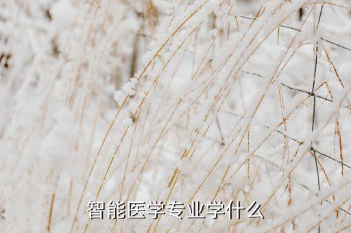 醫(yī)療機(jī)器人研究領(lǐng)域,機(jī)器人在醫(yī)療領(lǐng)域中的應(yīng)用有哪些