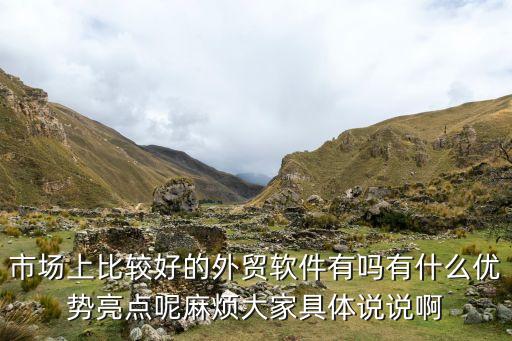 市場上比較好的外貿(mào)軟件有嗎有什么優(yōu)勢亮點呢麻煩大家具體說說啊