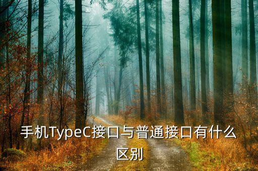typec數(shù)據(jù)線插口不一樣,華為typec數(shù)據(jù)線插口壞了