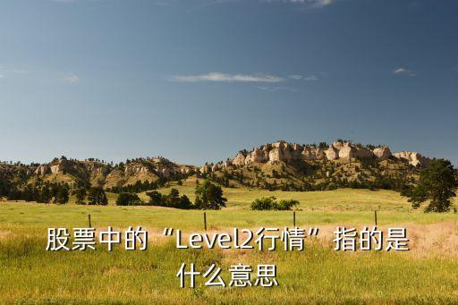level 2數(shù)據(jù)