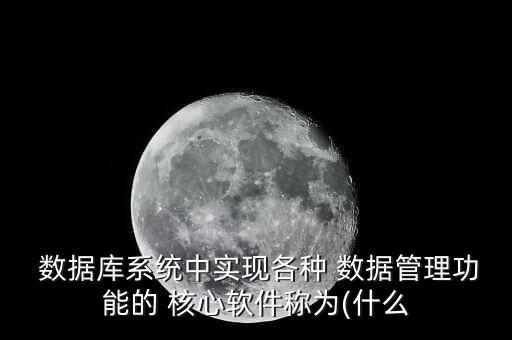  數(shù)據(jù)庫系統(tǒng)中實(shí)現(xiàn)各種 數(shù)據(jù)管理功能的 核心軟件稱為(什么