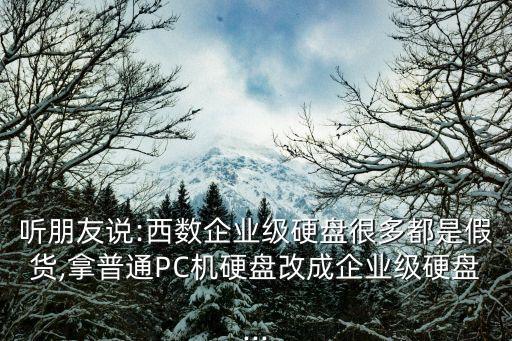 聽朋友說:西數(shù)企業(yè)級硬盤很多都是假貨,拿普通PC機(jī)硬盤改成企業(yè)級硬盤...
