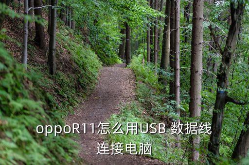 oppoR11怎么用USB 數(shù)據(jù)線連接電腦