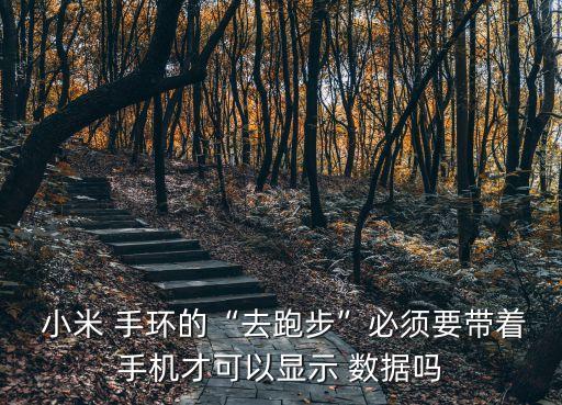  小米 手環(huán)的“去跑步”必須要帶著手機才可以顯示 數(shù)據(jù)嗎