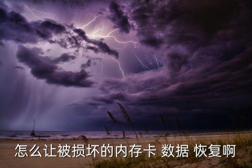 怎么讓被損壞的內(nèi)存卡 數(shù)據(jù) 恢復(fù)啊