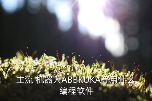 主流 機(jī)器人ABBKUKA等用什么 編程軟件