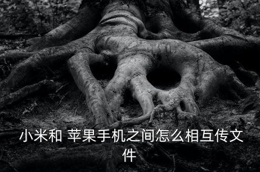 小米 數(shù)據(jù) 蘋果,小米數(shù)據(jù)清除了怎么恢復(fù)