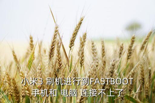 小米3 刷機(jī)進(jìn)行到FASTBOOT手機(jī)和 電腦 連接不上了