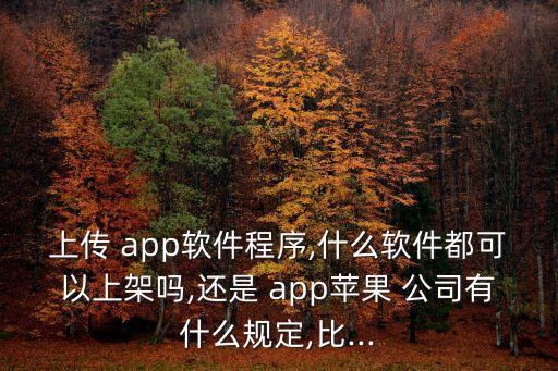 上傳 app軟件程序,什么軟件都可以上架嗎,還是 app蘋(píng)果 公司有什么規(guī)定,比...
