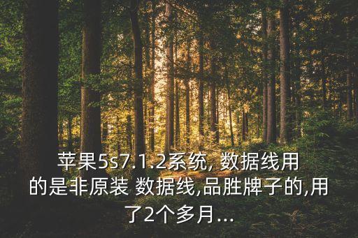 蘋(píng)果5s7.1.2系統(tǒng), 數(shù)據(jù)線(xiàn)用的是非原裝 數(shù)據(jù)線(xiàn),品勝牌子的,用了2個(gè)多月...
