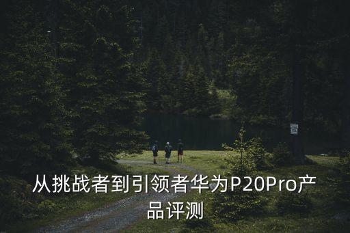 p20pro dxo數(shù)據(jù),華為P20PRO的DXO