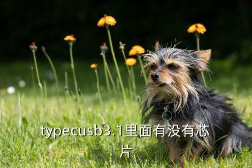 typecusb3.1里面有沒(méi)有芯片