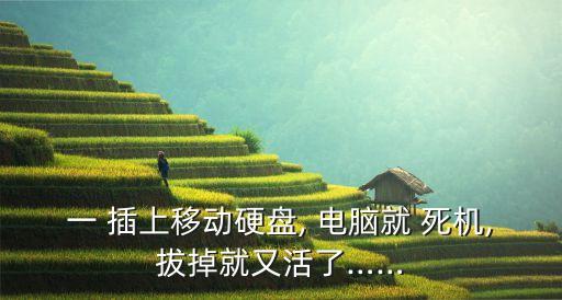 電腦插上數(shù)據(jù)線死機,電腦一插移動硬盤就死機