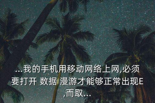不開數(shù)據(jù)漫游上不了網(wǎng)