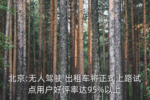 出租車權(quán)威數(shù)據(jù)