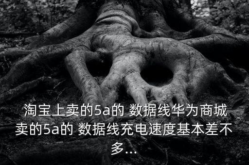 淘寶上賣的5a的 數(shù)據(jù)線華為商城賣的5a的 數(shù)據(jù)線充電速度基本差不多...