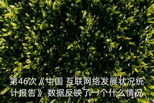 第46次《中國 互聯(lián)網(wǎng)絡(luò)發(fā)展?fàn)顩r統(tǒng)計(jì)報(bào)告》 數(shù)據(jù)反映了一個(gè)什么情況