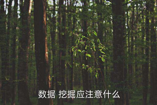 數(shù)據(jù)挖掘 重要性