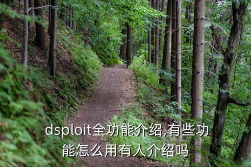 dsploit數(shù)據(jù)包偽造