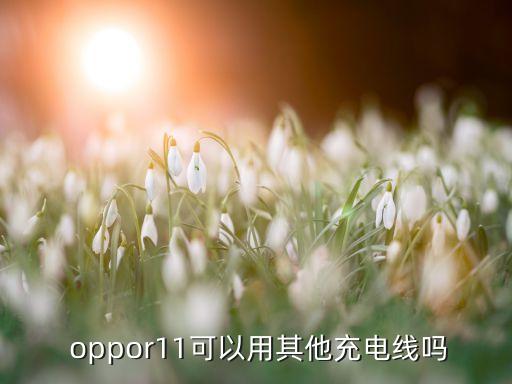  oppor11可以用其他充電線嗎