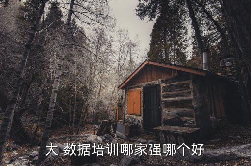 大 數(shù)據(jù)培訓(xùn)哪家強哪個好