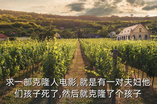 求一部克隆人電影,就是有一對夫婦他們孩子死了,然后就克隆了個孩子