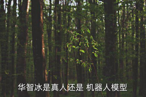 華智冰是真人還是 機(jī)器人模型