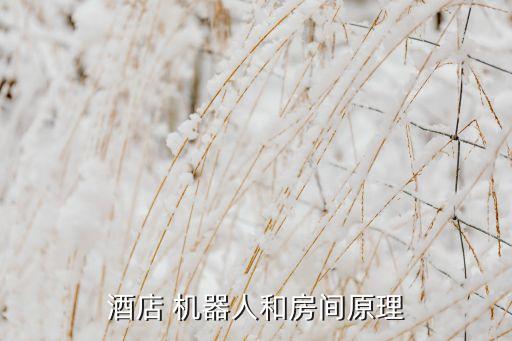 mip機器人說明,MIP機器人