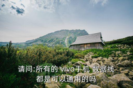 請(qǐng)問(wèn):所有的 vivo手機(jī) 數(shù)據(jù)線都是可以通用的嗎