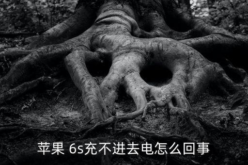 蘋果 6s充不進(jìn)去電怎么回事