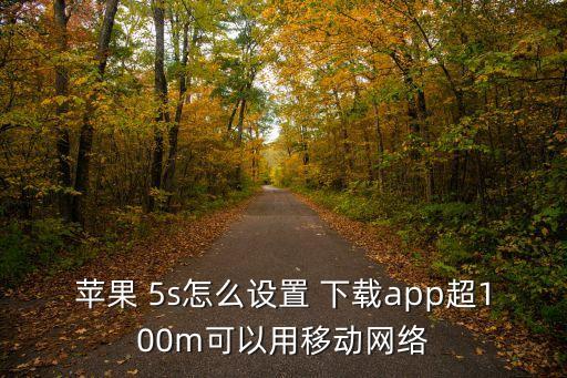 蘋果 5s怎么設(shè)置 下載app超100m可以用移動(dòng)網(wǎng)絡(luò)