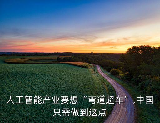 人工智能產(chǎn)業(yè)要想“彎道超車”,中國只需做到這點