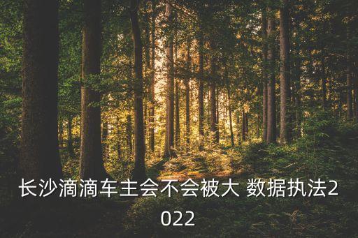 長(zhǎng)沙滴滴車主會(huì)不會(huì)被大 數(shù)據(jù)執(zhí)法2022
