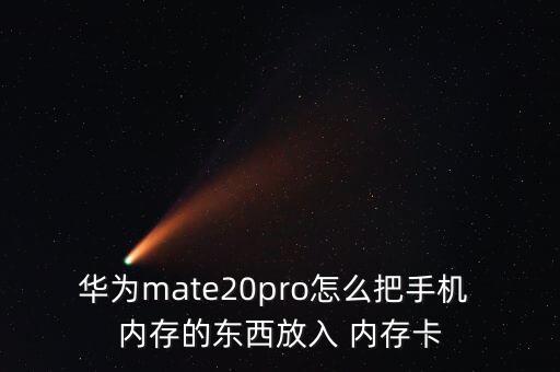 數(shù)據(jù)內(nèi)存卡上,游戲數(shù)據(jù)可以放在內(nèi)存卡里嗎