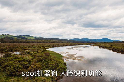 spot機器狗 人臉識別功能