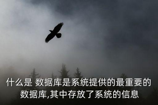 什么是 數(shù)據(jù)庫是系統(tǒng)提供的最重要的 數(shù)據(jù)庫,其中存放了系統(tǒng)的信息