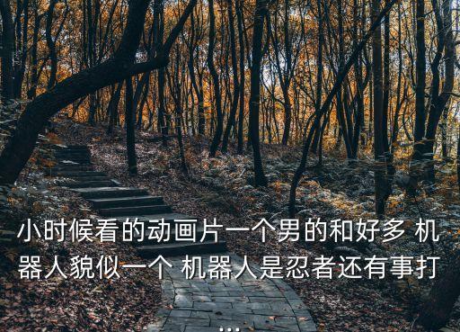 小時候看的動畫片一個男的和好多 機(jī)器人貌似一個 機(jī)器人是忍者還有事打...