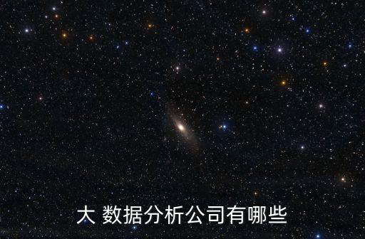 大 數(shù)據(jù)分析公司有哪些